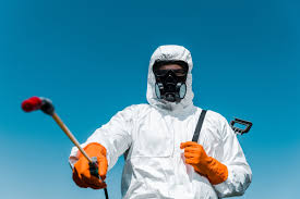 Best Residential Pest Control  in Clay City, IN